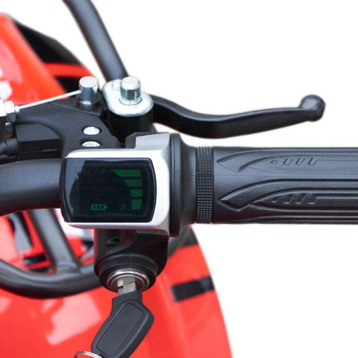 miniQuad TORINO 1000w 48v NITRO R6