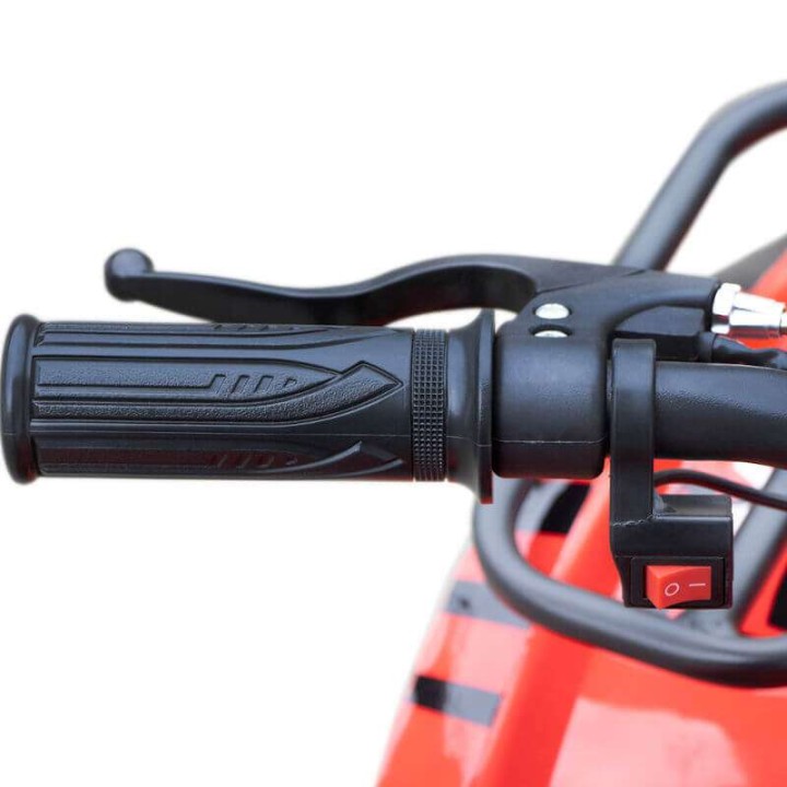 miniQuad TORINO 1000w 48v NITRO R6