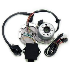 Rotor daytona variable