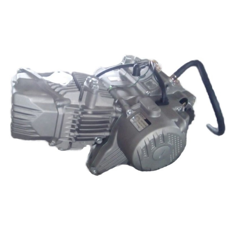 Motor zs190cc 2V