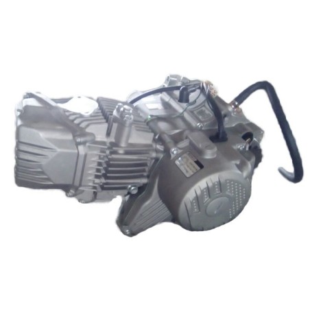 Motor zs190cc 2V