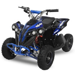 miniQuad NITRO AVENGER CARDAN 1200W R6 2