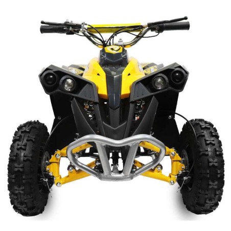 miniQuad NITRO AVENGER CARDAN 1200W R6