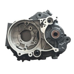 Carter exterior izquierdo YX150/160