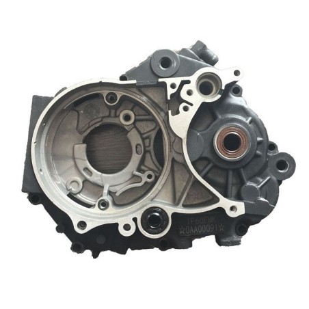 Carter exterior izquierdo YX150/160