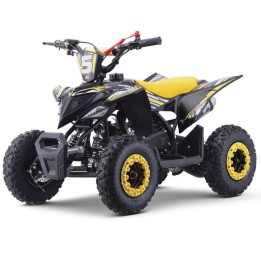 miniQuad ROAN RATTE 49cc R6