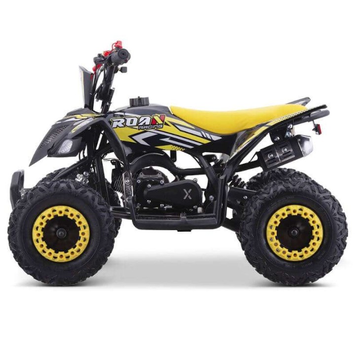 miniQuad ROAN RATTE 49cc R6
