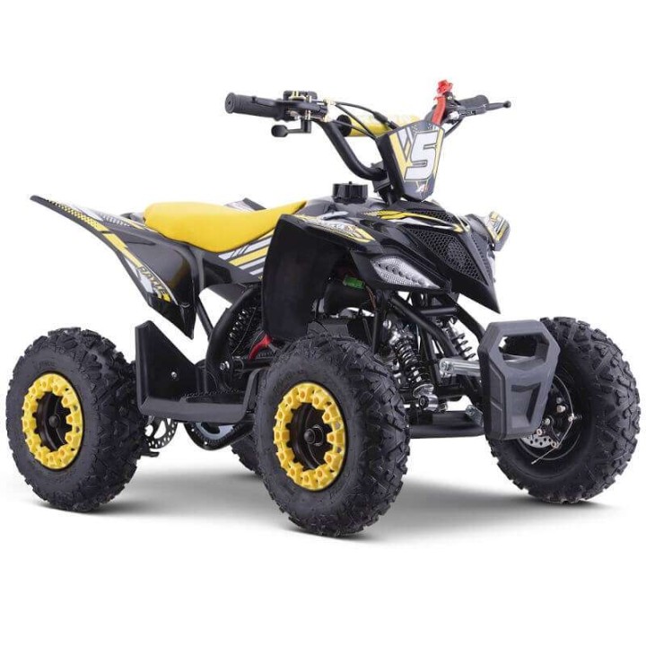miniQuad ROAN RATTE 49cc R6