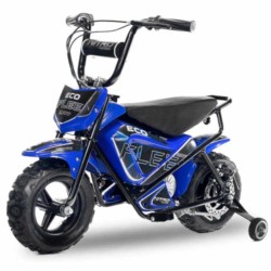 miniMoto ECO FLEET 300W 2