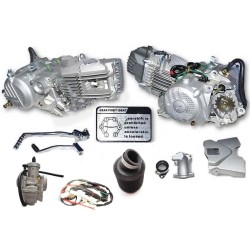 Motor completo zs190cc 2V