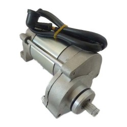 Motor de arranque zs190