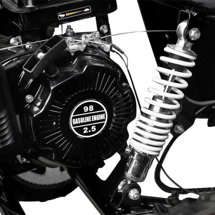 Buggy NITRO GOKID 98cc R6