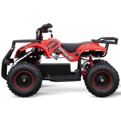 miniQuad TORINO 1000w 48v NITRO R6 2