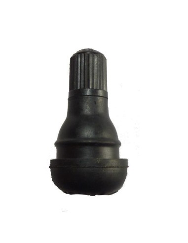 VALVE TUBELESS DROIT