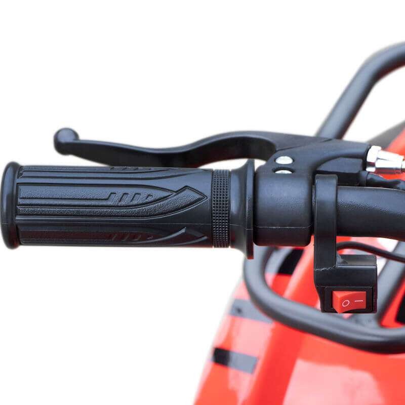 miniQuad TORINO 1000w 48v NITRO R6
