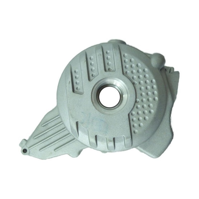 Tapa cubre encendido motor zs190