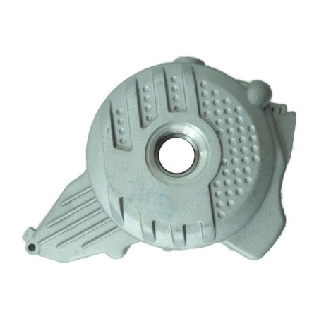 Tapa cubre encendido motor zs190