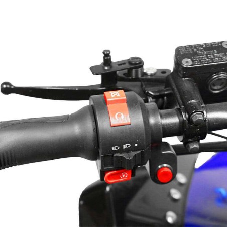 Quad NITRO SPEEDY 1000W 48V R8