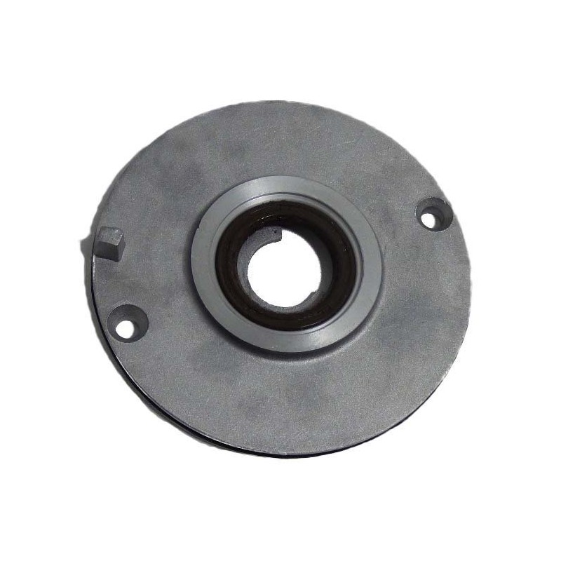 Plato fijador de encendido zs190