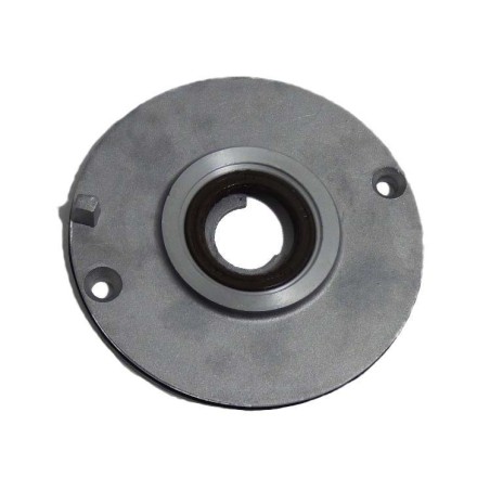Plato fijador de encendido zs190