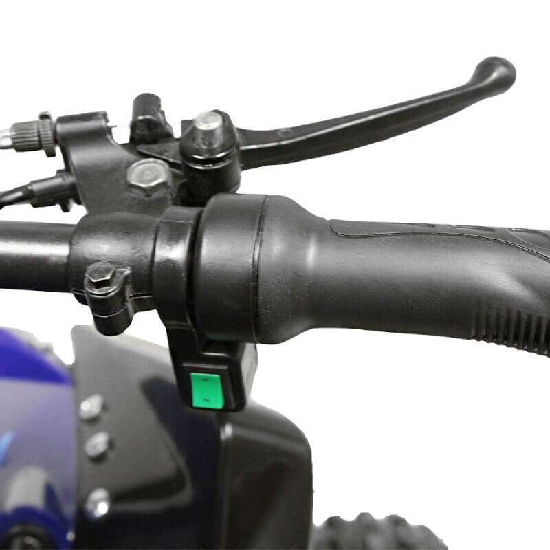 Quad NITRO SPEEDY 1000W 48V R8