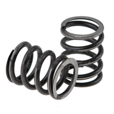 Muelles duros takegawa