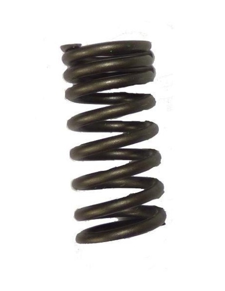 SPRING VALVE DAYTONA