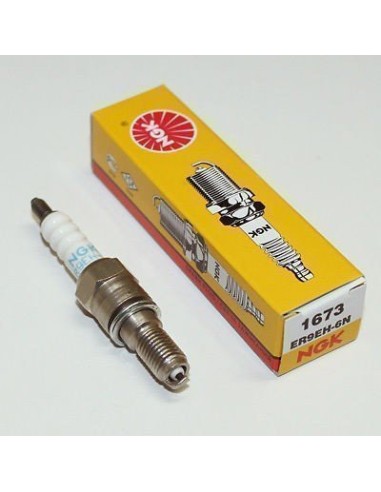 PLUG ER9EH-6N