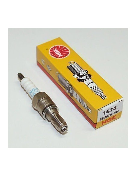 PLUG ER9EH-6N