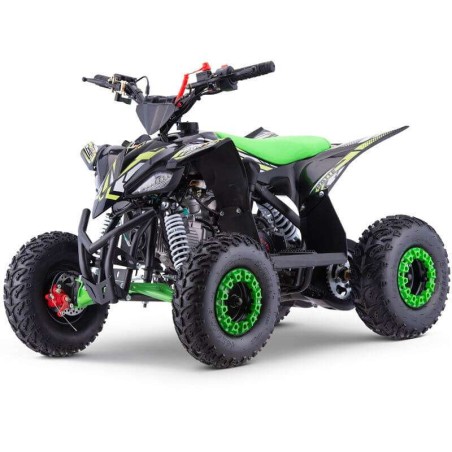 miniQuad ROAN RATTE 90CC R6