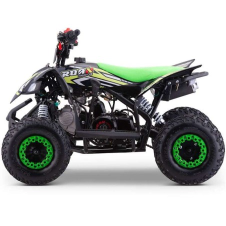 miniQuad ROAN RATTE 90CC R6
