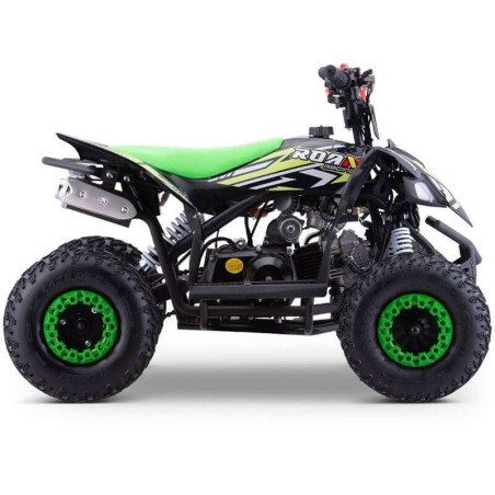 miniQuad ROAN RATTE 90CC R6