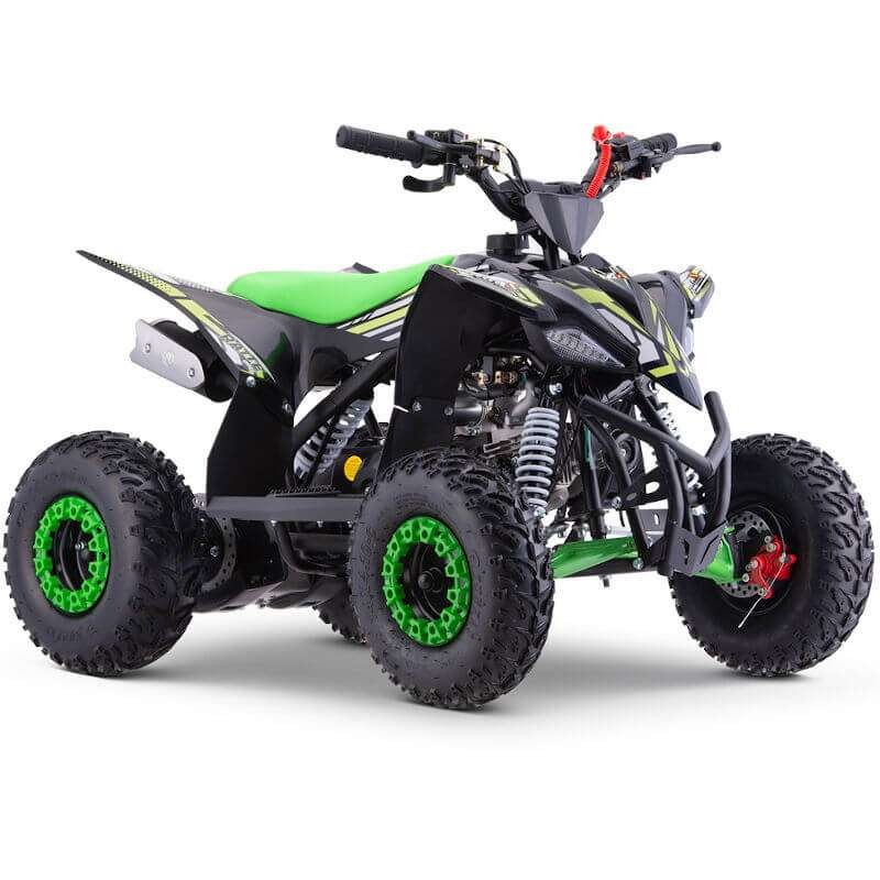 miniQuad ROAN RATTE 90CC R6