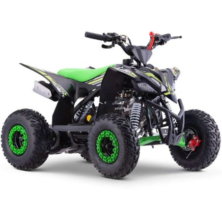 miniQuad ROAN RATTE 90CC R6