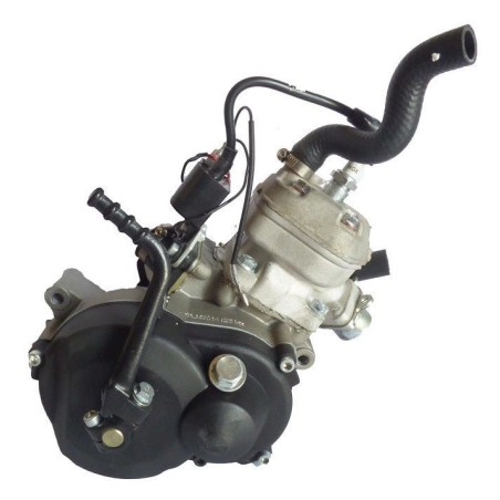 Motor 65cc replica franco morini