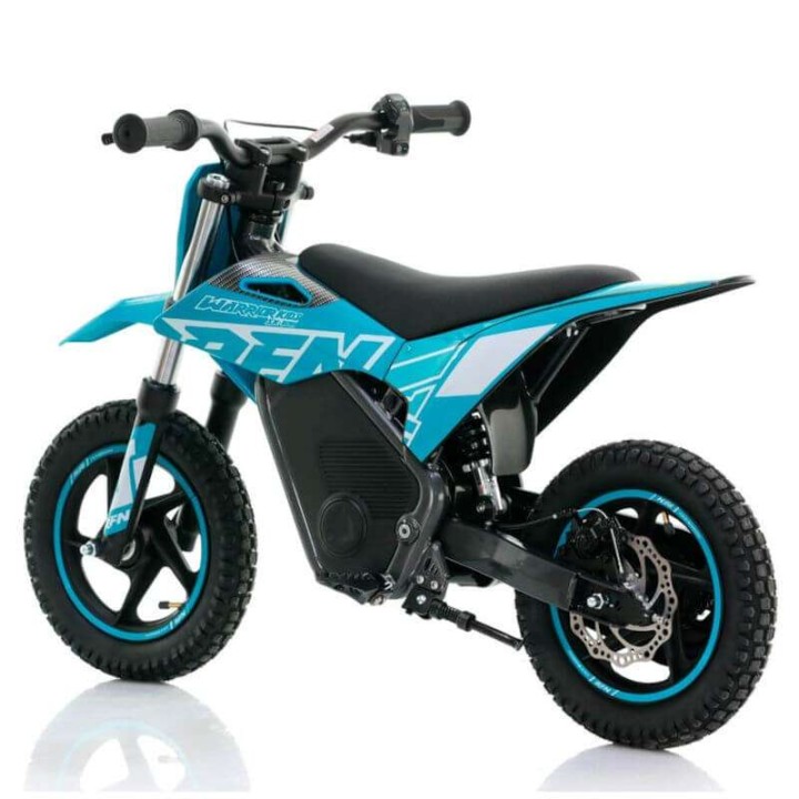 miniCross electrica ROAN RFN 250W 12-12