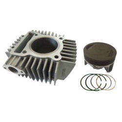 Cilindro completo con piston zs190