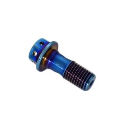 Tornillo de aceite perforado M10