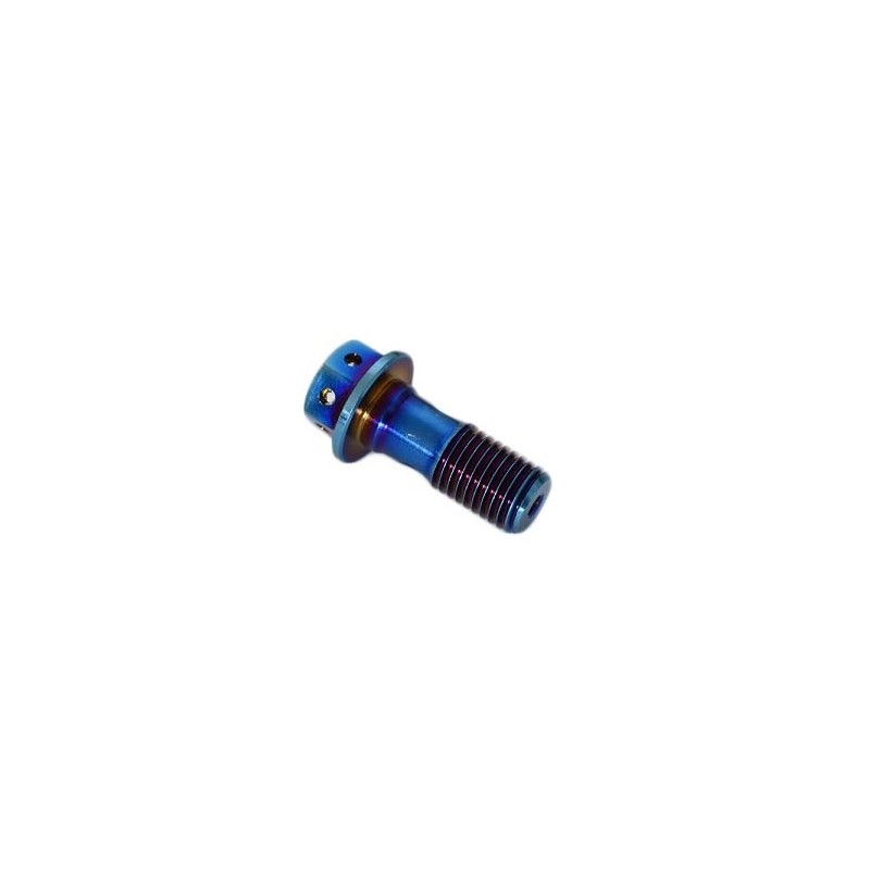 Tornillo de aceite perforado M10