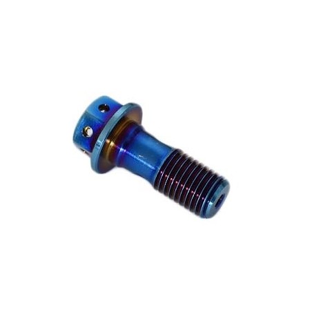 Tornillo de aceite perforado M10