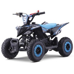 miniQuad ROAN RATTE 49cc R6 2