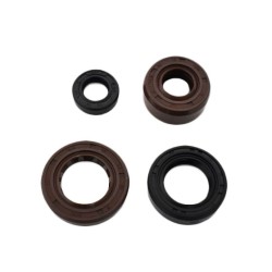 Retenes de motor zs190