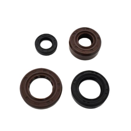 Retenes de motor zs190
