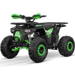 QUAD NITRO DUSTRIDER 1500W 60V R8 2