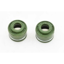 Pareja de Retenes motor zs250