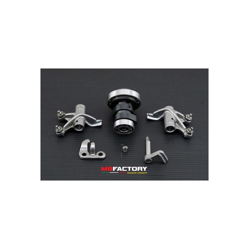 Arbol de levas potenciado Daytona Anima 4V