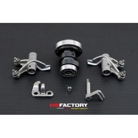 Arbol de levas potenciado Daytona Anima 4V