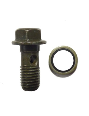 TORNILLO RADIADOR 10MM