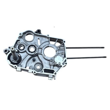 carter interior derecho 110cc ocasion