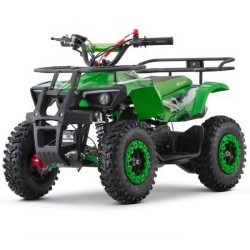 miniQuad NITRO DUSTY 49cc R6 2